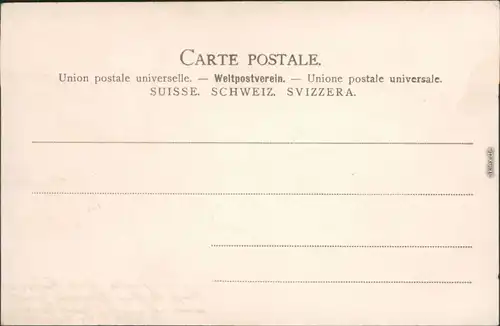 Ansichtskarte Biel Bienne Partie am Ring 1908 
