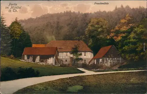Ansichtskarte Eisenberg (Thüringen) Partie an der Froschmühle 1913 