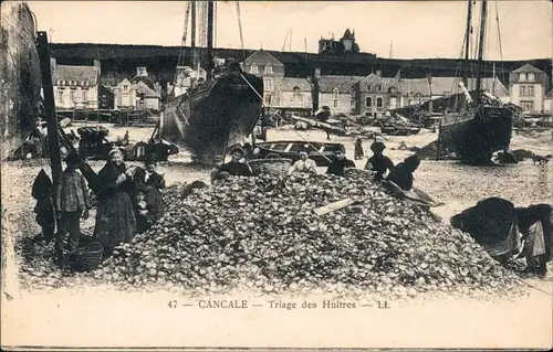Cancale Kankaven Triage des Huîtres/Hafen - Sortierung von Austern 1912