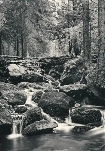 Ansichtskarte Rehberg Srní na Sumava Berg Boubin - Fluss 1973