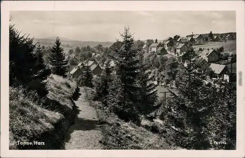 Ansichtskarte Tanne (Harz) Panorama-Anischt vom Waldweg aus 1957