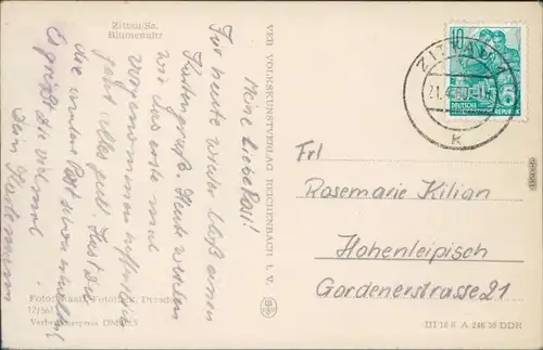 Ansichtskarte Zittau Blumenuhr 1956