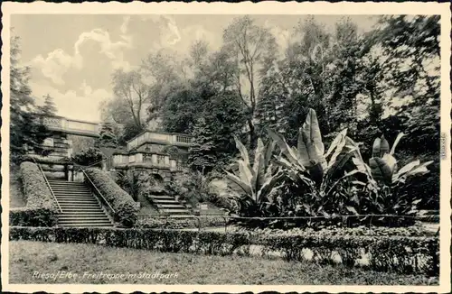 Ansichtskarte Riesa Freitreppe im Stadtpark 1936