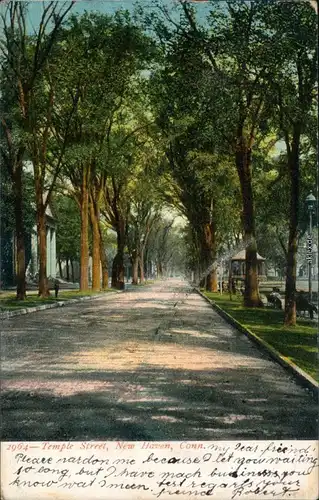 Ansichtskarte New Haven Temple Street - Allee - Zeichnung 1907