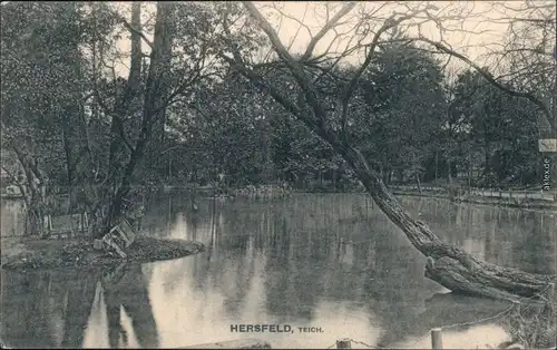 Ansichtskarte Bad Hersfeld Teichpartie - rechts Restauration 1905 