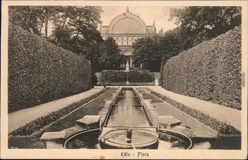 Ansichtskarte Köln Coellen | Cöln Flora - Botanischer Garten 1918 