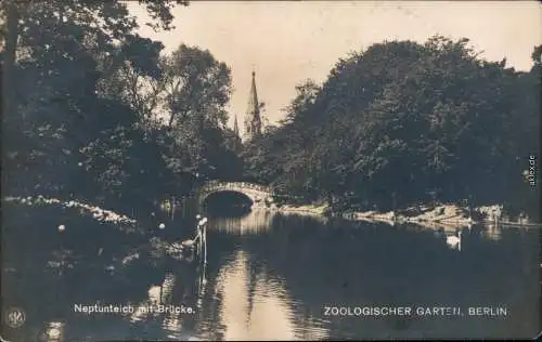 Ansichtskarte Tiergarten-Berlin Zoologischer Garten - Neptunteich 1926