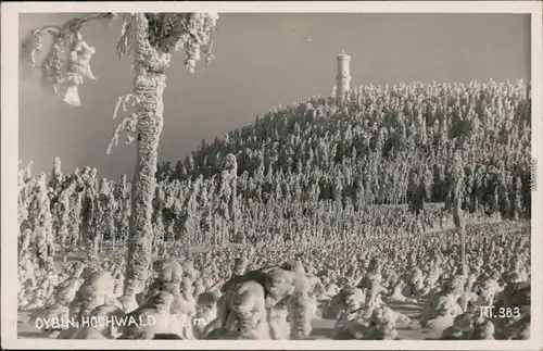 Ansichtskarte Oybin Hochwald und Turm im Winter 1933 