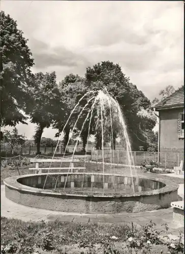 Ansichtskarte Neu Schadow-Märkische Heide Markojska gola Springbrunnen 1981