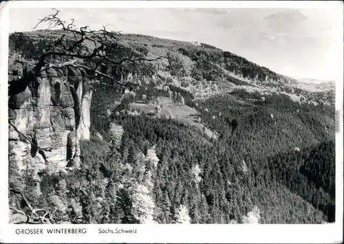 Ansichtskarte Schmilka Großer Winterberg 1987