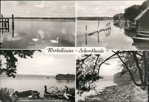 Ansichtskarte Schorfheide See mit Schwänen, Boote und Uferbereich g1980