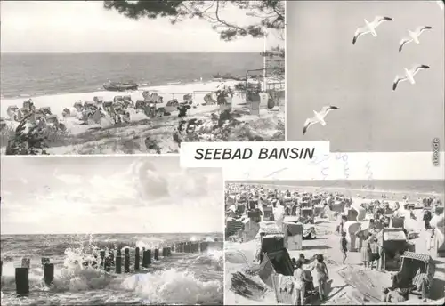 Bansin-Heringsdorf Usedom Strand mit vielen Strandkörben, Möwen und Meer 1976