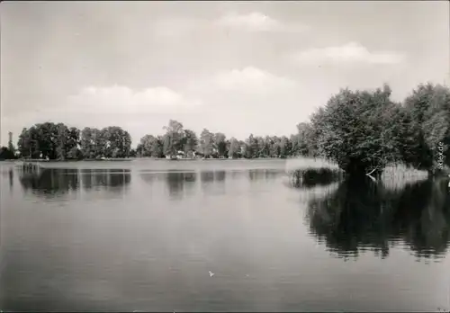 Ansichtskarte Peitz Picnjo Peitzer Teiche 1977