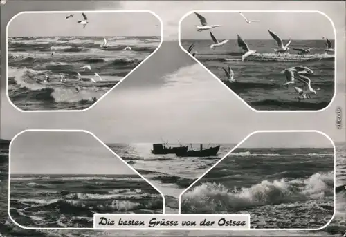Mecklenburg Vorpommern-Schwerin Ostseegrüße - Möwen, Fischerboote, Wellen 1984