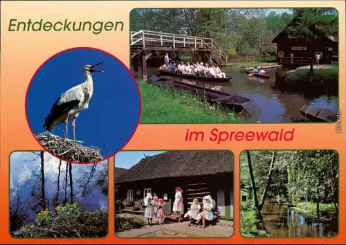 Ansichtskarte Lübbenau (Spreewald) Lubnjow Landschaftsgebiet: Spreewald 1995