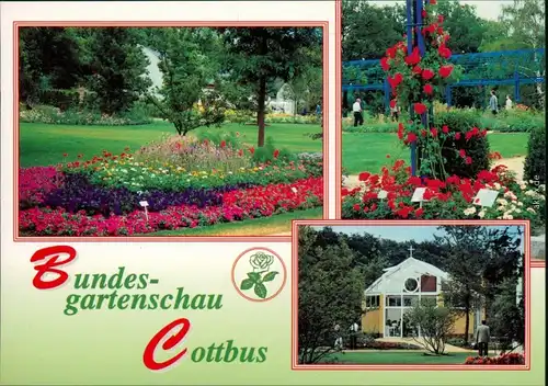 Ansichtskarte Cottbus Choćebuz BUGA/Bundesgartenschau 9 1995