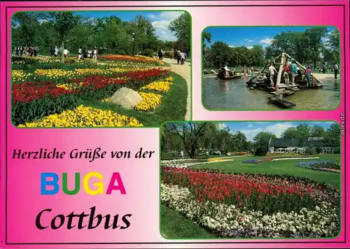 Ansichtskarte Cottbus Choćebuz BUGA/Bundesgartenschau 1995