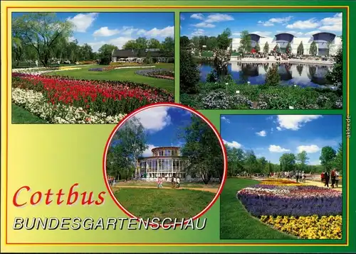 Ansichtskarte Cottbus Choćebuz BUGA/Bundesgartenschau 5 1995