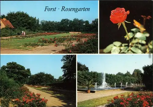 Ansichtskarte Forst (Lausitz) Baršć Rosengarten 1989