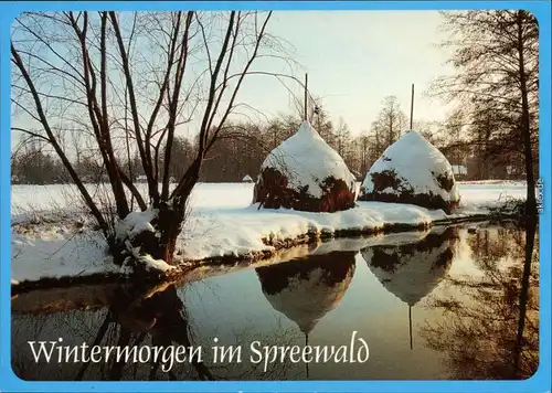 Lübben (Spreewald) Lubin (Błota) Winterliche Szene - Heuballen  Kanal 1995