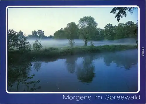 Lübben (Spreewald) Lubin Morgens im Spreewald - Kanal im Nebel 1995