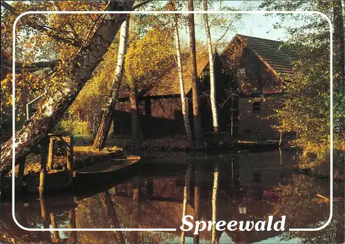 Spreewald Stimmungsbild Birken Schäune am Kanal Wasser 1995