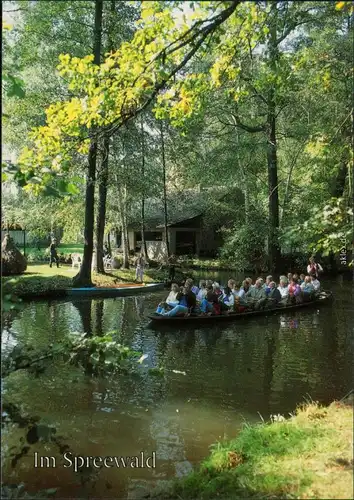 Ansichtskarte Lübben (Spreewald) Lubin (Błota) Spreewaldkahn 1995