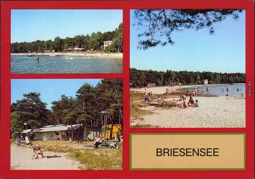 Ansichtskarte Briesensee-Neu Zauche Nowa Niwa Badesee 1986