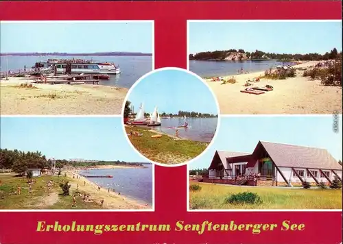 Senftenberg (Niederlausitz) Erholungszentrum Senftenberger See: Strand 1984