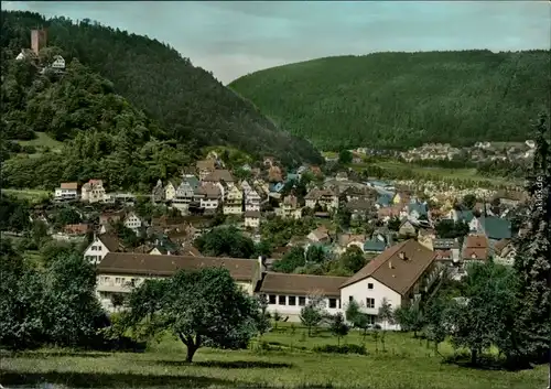 Ansichtskarte Bad Liebenzell Panorama-Ansicht mit Burg 1962