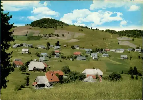 Ansichtskarte Bernau im Schwarzwald Panorama-Ansicht über die Wiesen 1975