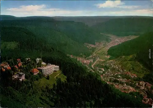 Ansichtskarte Bad Wildbad Luftbild 1960