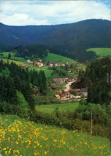 Schwarzenberg mit Schönmünzach-Baiersbronn Panorama-Ansicht 1981