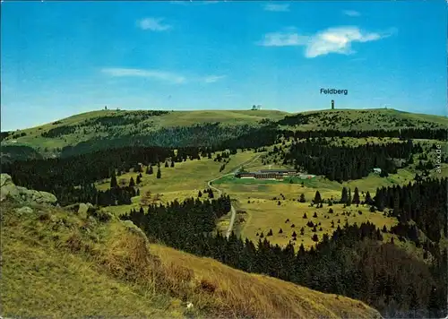 Ansichtskarte Feldberg Panorama-Ansicht zum Feldberg 1988
