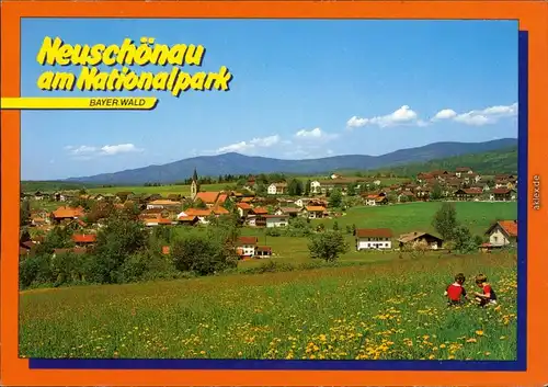 Ansichtskarte Neuschönau Panorama-Ansicht mit Blick über den Wiesen 1992