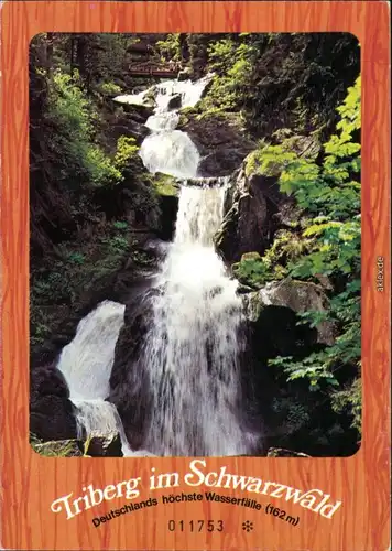 Ansichtskarte Triberg im Schwarzwald Kaskaden-Wasserfall 1981