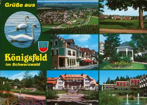 Königsfeld im Schwarzwald Schwäne, Luftbild, Kuranlagen, Pavillon 1994