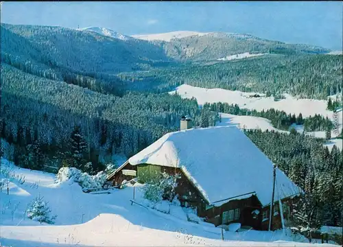 Ansichtskarte Feldberg Feldberg - Schwarzwald 1983
