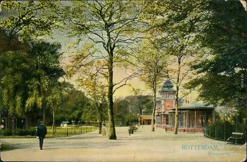 Ansichtskarte Rotterdam Rotterdam Diergaarde 1913 
