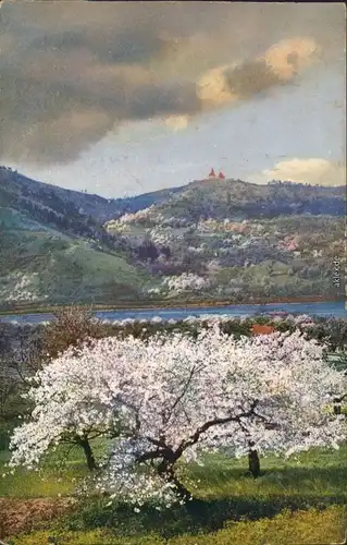 Ansichtskarte Zirkowitz Církvice Stadt im Frühling 1914 