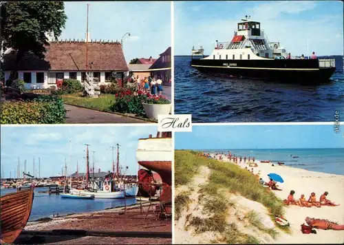 Ansichtskarte Hals (Dänemark) Fährschiff, Haus, Hafen, Strand 1979