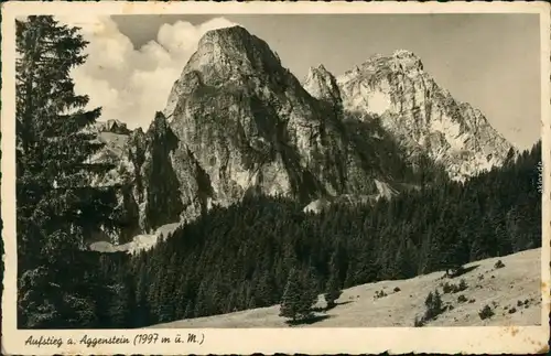 Ansichtskarte Pfronten (Allgäu) Aufstieg zum Aggenstein 1936 