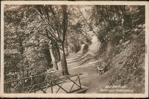 Ansichtskarte Bad Bertrich Partie am Peterswald 1928 