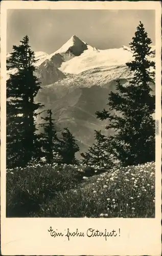 Ansichtskarte  Alpen - Ein frohes Osterfest 1952 