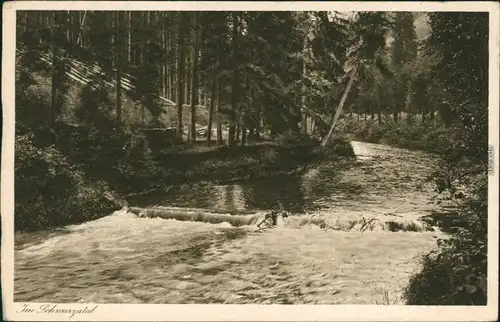 Ansichtskarte Schwarzburg Im Schwarzatal 1929