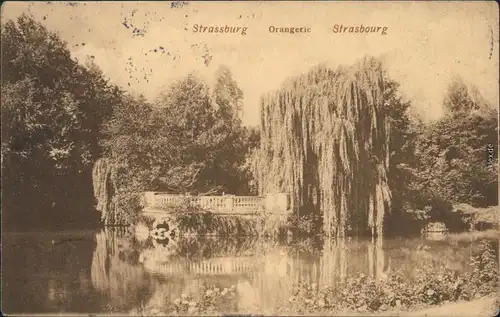 Ansichtskarte Straßburg Strasbourg Orangerie - Park 1906