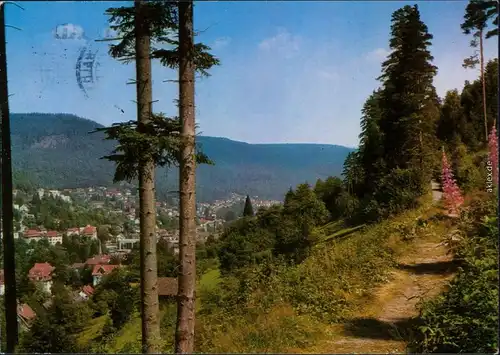 Ansichtskarte Bad Wildbad Panorama-Ansicht vom Waldrand aus 1983