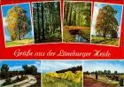 _Niedersachsen  Ansichten aus der Lüneburger Heide - Wald - Wiesen - Wege 1980