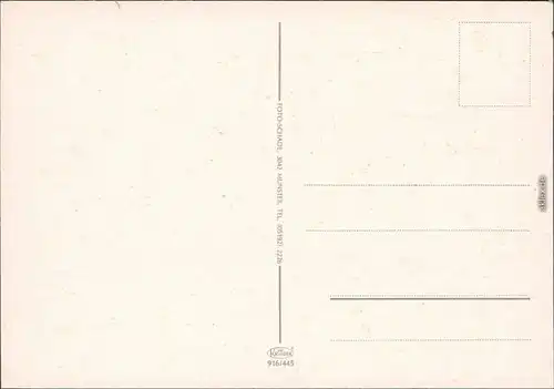 _Niedersachsen  Ansichten aus der Lüneburger Heide - Wald - Wiesen - Wege 1980