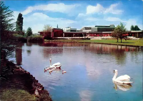 Ansichtskarte Bad Rappenau Kurhaus und Kurparksee 1975